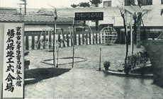 京都橘ライオンズクラブ|活動|1972年度