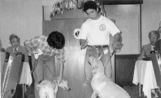 ���s�k���C�I���Y�N���u�b�����b1984�N�x