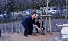 ���s�k���C�I���Y�N���u�b�����b2004�N�x